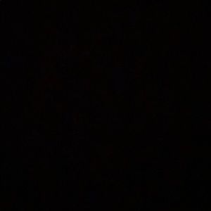 Meet your Posher, Steve